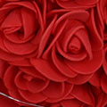 SP2747207a19cc062d501b.jpg