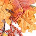 SP2937.jpg