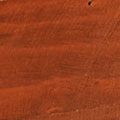 SC0211.jpg