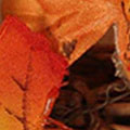 SP0841.jpg