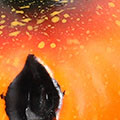 SP2891.jpg