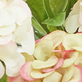 SW02414243a04c4f5186c4.jpg