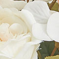 SW0244829d95d33153a98e.jpg