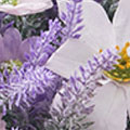 SW024541c6be2c800c7b99.jpg