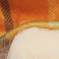 SW0627.jpg