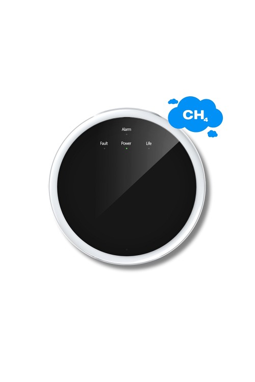 HESTIA-CH4-Gas-Detector-for-SAFE-TECH-Home-Safety-System-1.jpg