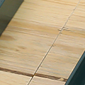 CX0168-116.jpg