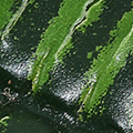 PM1579-1510.jpg
