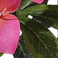 PM1593-1.jpg