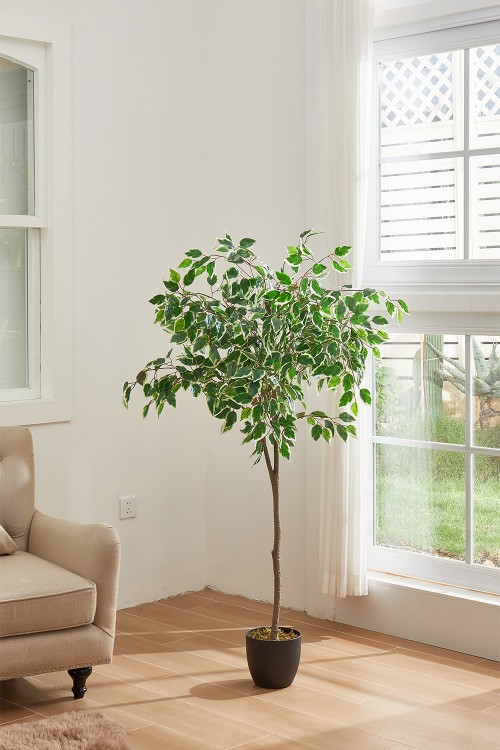 PM1575-1500-1-GS.jpg