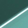 PM1690-1617.jpg