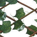 ZX0119-1500-1609.jpg